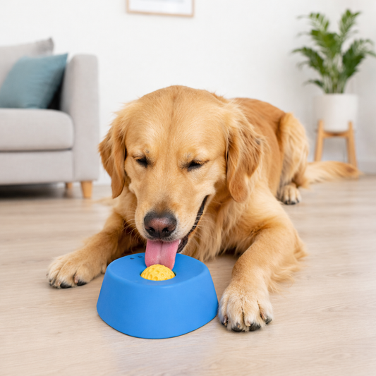 Dog slow feeder bowl