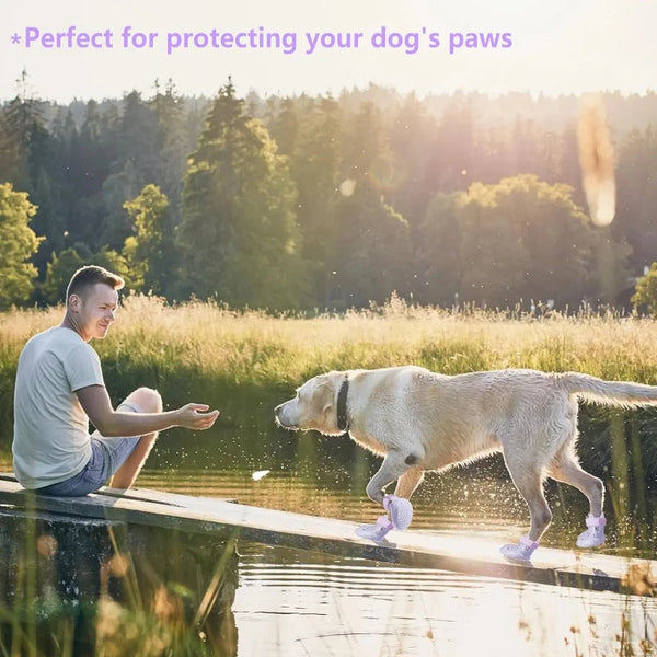 TrailGuard Dog Boots