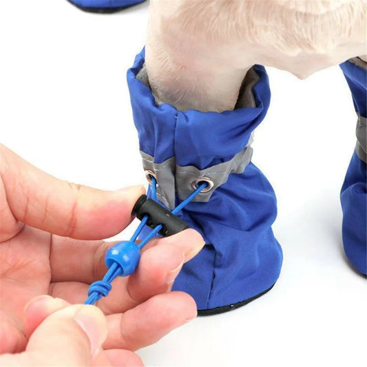 PawTrail Mini Dog Adventure Boots