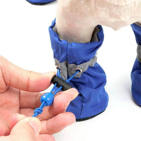 PawTrail Mini Dog Adventure Boots